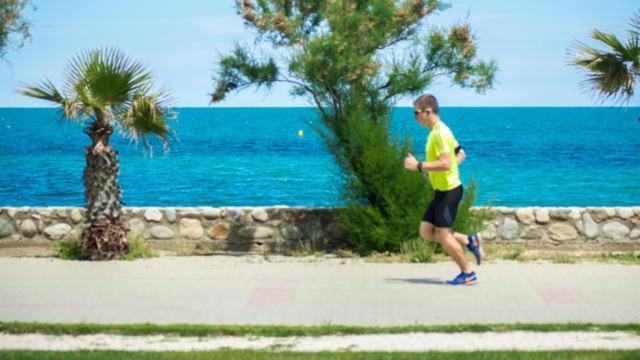 Un Petit Nid Les Pieds Dans L'Eau Daire Argelès-sur-Mer Dış mekan fotoğraf