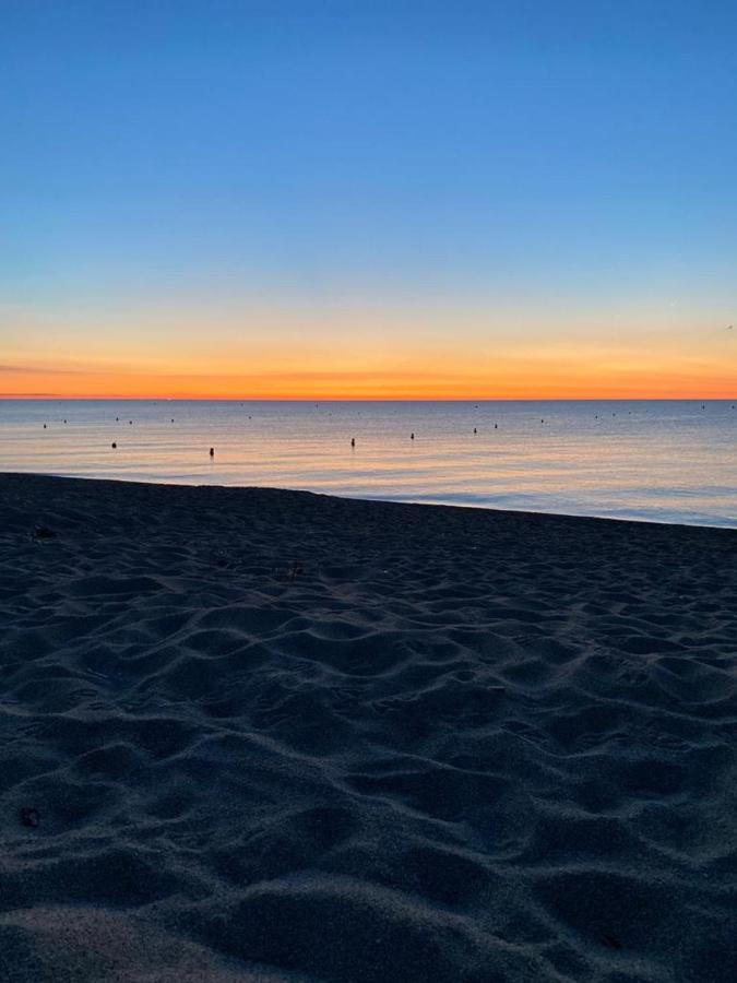 Un Petit Nid Les Pieds Dans L'Eau Daire Argelès-sur-Mer Dış mekan fotoğraf
