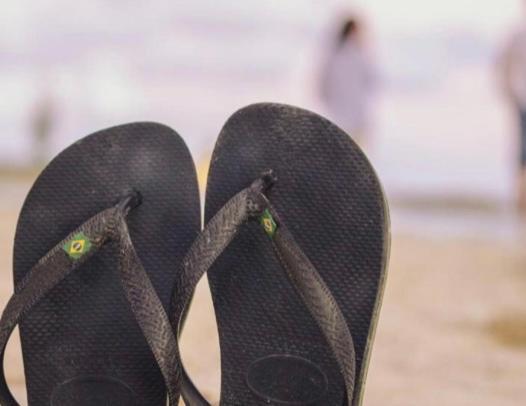 Un Petit Nid Les Pieds Dans L'Eau Daire Argelès-sur-Mer Dış mekan fotoğraf